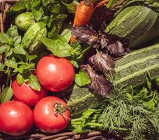 local, farm vegetables in a basket. tomatoes, cucumbers, zucchini, carrots, parsley, dill and basil photo