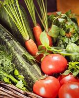 local, farm vegetables in a basket. tomatoes, cucumbers, zucchini, carrots, parsley, dill and basil photo