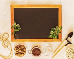 Composition with kalanchoe sapling, garden tools and chalkboard with copy space photo