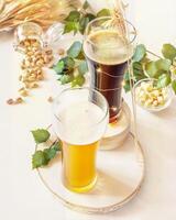 Two glasses of cold, light and dark, unfiltered beer, pistachios, ears of wheat and green leaves on a white background photo