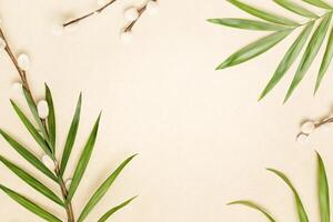 Frame with palm leaves and willow twigs on a craft background photo