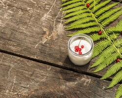 Vegan, homemade yogurt with red currant and fern leave on a wooden table photo