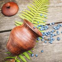 Clay pot with organic, wild blueberries and fern leave on a wooden table photo