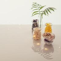 Different kind of vitamins in glass bottles, palm leave and lighting garland on white background photo