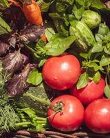 Farm vegetables in a basket, tomatoes, cucumbers, zucchini, carrots, parsley, dill and basil photo