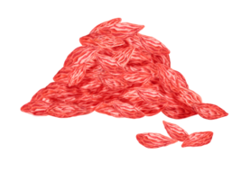 Dry goji berries in watercolor. Hand drawn clipart of licum barbarum dry fruits. Design for printing, packaging, cards, superfood posters and textile png