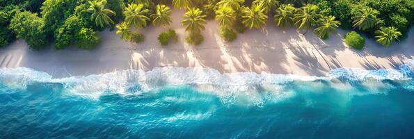 panorama of tropical paradise island with sandy beach and palm trees on coast in ocean. Top aerial view photo