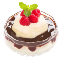 Dessert Pudding Isolated on Clear Background png