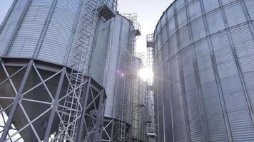 Agricultural elevators for collecting seeds. Elevator for storing wheat, soybeans. video