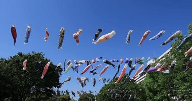 Carp streamer at the park in Tokyo daytime sunny video