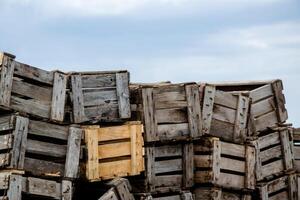 Stack of Wooden Crates in Field photo