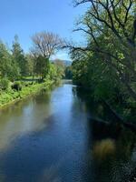A river winds its way through a dense forest filled with vibrant green foliage. The water flows steadily, reflecting the lush vegetation surrounding it photo