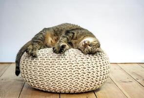 A tabby cat is laying upside down on a knitted pouf, looking up with a relaxed expression. The cats paws are outstretched and its tail is curled around the pouf. photo