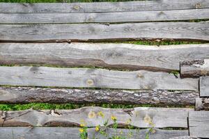 A close-up view of a rustic wooden fence with faded, gray planks and a few yellow wildflowers in the foreground photo
