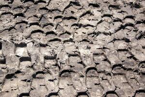 A close-up image of tire tracks embedded in soft, muddy earth photo