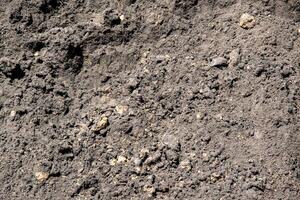 A close-up photograph of dark brown soil with small stones mixed in. The soil appears to be moist and loose photo