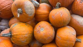 A close-up view of several ripe pumpkins stacked on top of each other, likely at a fall market or farm stand photo