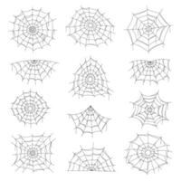Cobweb and spider web Halloween isolated net. vector