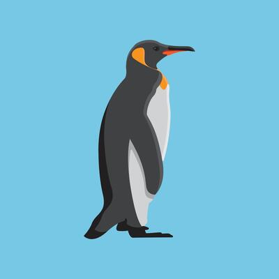 cute penguin for childrens sketchbook design and arctic animal icon emblem