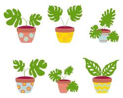 Hand drawn monstera plants in a flower pots collection. clip art set isolated on white background. vector