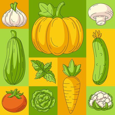 Fresh and healthy farm vegetables, natural food. geometric modern square poster, eco veggies icons. Minimal abstract layout for banner, menu, cover, farmers market, brochure, social media