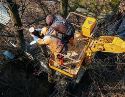 Municipal service workers stand with a chainsaw in a crane basket and trim dangerous trees photo