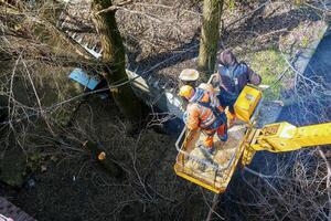 Municipal service workers stand with a chainsaw in a crane basket and trim dangerous trees photo