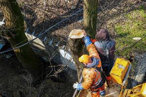 Municipal service workers stand with a chainsaw in a crane basket and trim dangerous trees photo