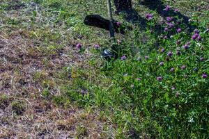 A man cuts and mows the grass. Grass cutting work. Worker mows lawn with grass photo