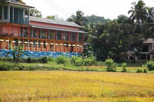 row of Buddhist monk statues in Dambulla photo