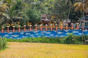 row of Buddhist monk statues in Dambulla photo