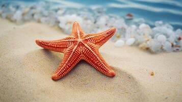 Starfish on the summer beach in sea water. Underwater ocean background, Starfish on a sandy tropical beach, Starfish on a Caribbean beach in summer make for a nice vacation photo