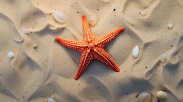 Starfish on the summer beach in sea water. Underwater ocean background, Starfish on a sandy tropical beach, Starfish on a Caribbean beach in summer make for a nice vacation photo