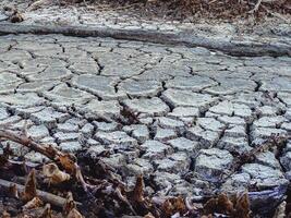 Destroyed mangrove forest scenery, Mangrove forests are destroyed and loss from the expansion of habitats. Expansion of habitats destruction the environment,mangrove forests degradation photo