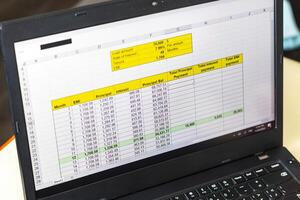 Shot of an excel sheet on computer screen showing bank loan amortization table. Accounting photo