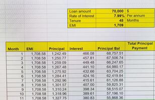 Shot of an excel sheet on computer screen showing bank loan amortization table. Accounting photo
