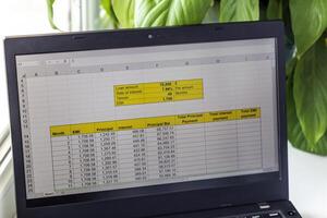 Shot of an excel sheet on computer screen showing bank loan amortization table. Accounting photo