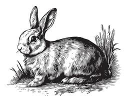 Rabbit bunny sitting in the grass sketch drawn in doodle style illustration vector
