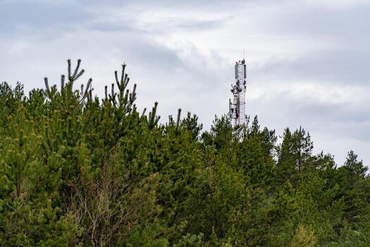 A tall communication tower rises above a dense pine forest under a cloudy sky, representing the intersection of technology and nature. Perfect for technology and nature-related projects. photo