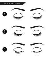 Set of different eyelashes and eyebrows. Closed eyes simple illustration vector
