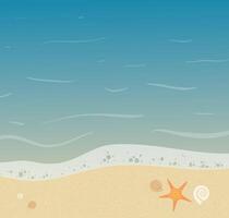 Beautiful seashore background with starfish and small shells on it. Sandy beach summer illustration vector