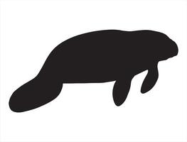 Manatee silhouette on white background vector