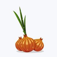 High-Resolution Garlic Image for Commercial Use vector