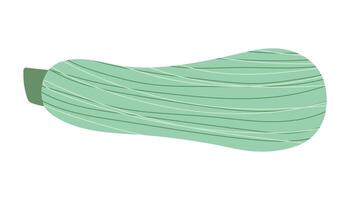 Stylized zucchini. Autumn vegetable with texture. Isolated illustration for your design vector