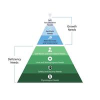 deficiency needs and growth needs to hierarchy needs include physiological needs, safety, love, self esteemed, aesthetic, self actualization vector