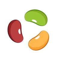 Mung bean, Kidney bean and Soy bean on white background. vector