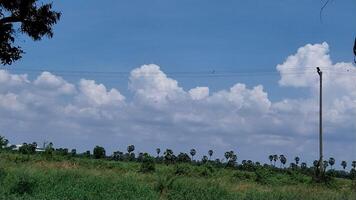 Blue sky with cloud background nature bush tree photo