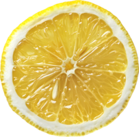 a lemon slice on a transparent background png