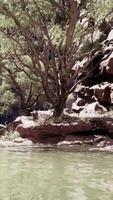 The reflection of the mountains in the River video