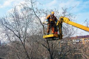 Dnepr, Ukraine - 03.20.2024 Municipal service workers stand with a chainsaw in a crane basket and trim dangerous trees photo
